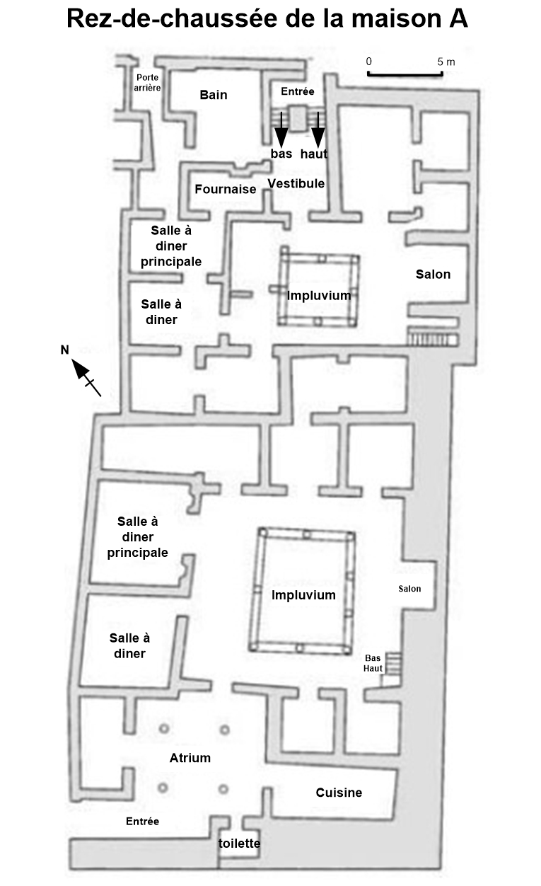 Plan d'une maison � �ph�se au temps de saint Paul